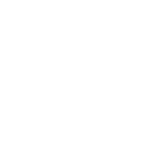 Hanz Logo